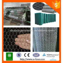 Trade assurance galvanized or pvc coated gabion wire mesh